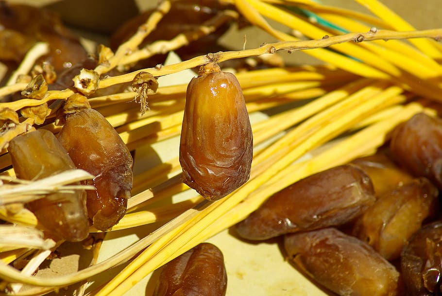 خرما؛ بمبی از مواد مغذی!