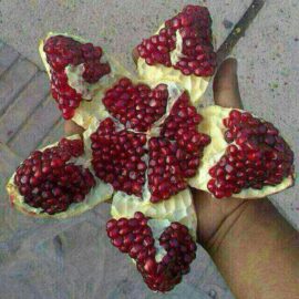 انار رباب