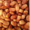 خرما زاهدی
