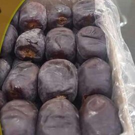 خرما مضافتی